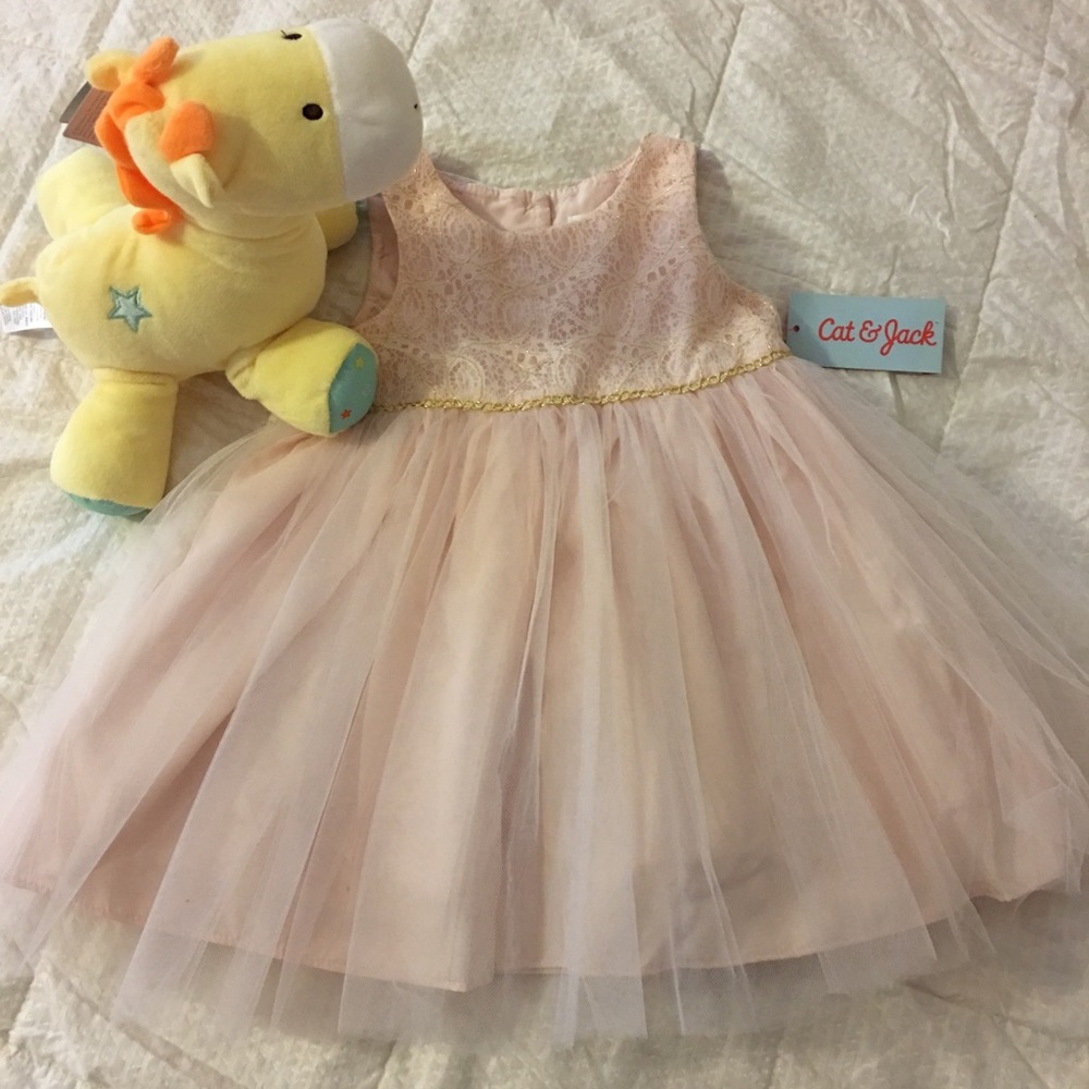 Baby Girl’s party dress